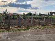 Terreno agricolo in vendita a Afragola