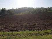 Terreno agricolo in Vendita a Agazzano