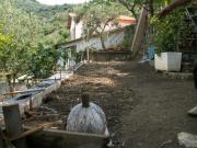TERRENO AGRICOLO in VENDITA a ALASSIO