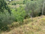 Terreno Agricolo in vendita a Albisola Superiore