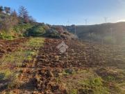 Terreno agricolo in vendita a Alcamo