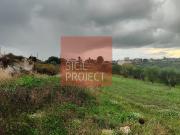 Terreno agricolo in Vendita a Alcamo