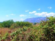 Terreno agricolo in vendita a Alcamo