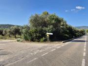 Terreno agricolo in vendita a Alghero