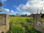 Terreno agricolo in vendita a Alghero