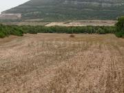 Terreno agricolo in vendita a Alghero