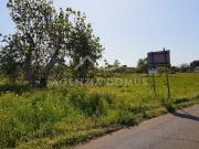 Terreno agricolo in Vendita a Alliste