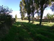 Terreno agricolo in vendita a Anzio