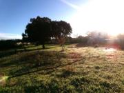 Terreno agricolo in vendita a Anzio