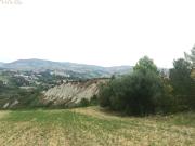 Terreno Agricolo in vendita a Appignano del Tronto,...