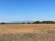 Terreno agricolo in vendita a Aprilia