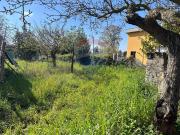 Terreno agricolo in vendita a Ardea