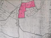 Terreno agricolo in vendita a Ascea