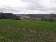 Terreno agricolo in vendita a Asciano 350000 mq Rif: 1287142