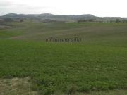 Terreno Agricolo in vendita a Asciano
