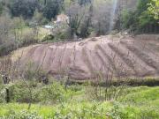 Terreno Agricolo in vendita a Aulla