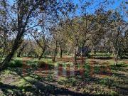 Terreno Agricolo in vendita a Avella