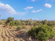 Terreno Agricolo in vendita a Avola, Bochini