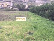 Terreno Agricolo in vendita a Bacoli