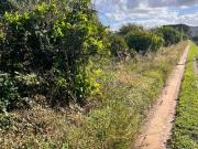 Terreno agricolo in vendita a Bagheria