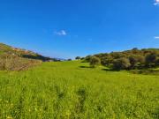 Terreno Agricolo in vendita a Bagheria
