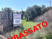 Terreno agricolo in vendita a Bari