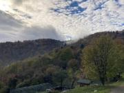 Terreno agricolo in Vendita a Bassano del Grappa