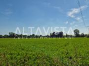Terreno agricolo in Vendita a Bedizzole