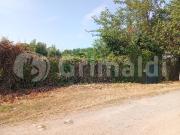 Terreno Agricolo in vendita a Beinasco