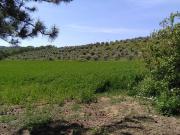 Terreno Agricolo in vendita a Bellante, Villa De Luca