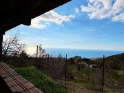 Terreno agricolo in Vendita a Belvedere Marittimo