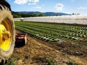 Terreno agricolo in vendita a Bergamo