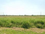 Terreno agricolo in Vendita a Boara Pisani