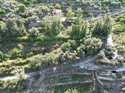 Terreno agricolo in vendita a Bordighera