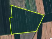 Terreno agricolo in Vendita a Borgo Veneto