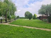 Terreno agricolo in Vendita a Bovolenta