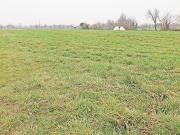 Terreno Agricolo in vendita a Brembate, Grignano