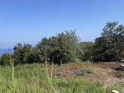 Terreno agricolo in Vendita a Brogliano