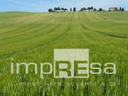 Terreno agricolo in vendita a Brugnera