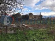 Terreno agricolo in vendita a Brusciano