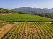 Terreno agricolo in vendita a Calangianus