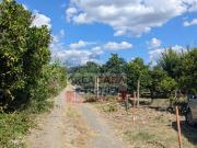 Terreno Agricolo in vendita a Calatabiano