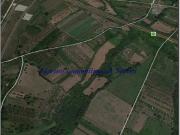 Terreno agricolo in Vendita a Calvi Risorta