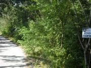 Terreno Agricolo in vendita a Candida