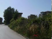 TERRENO AGRICOLO in VENDITA a CAPUA