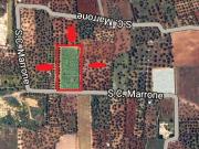 Terreno agricolo in Vendita a Capurso