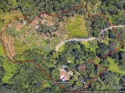 Terreno agricolo in Vendita a Carrara