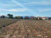 Terreno agricolo in Vendita a Cartoceto