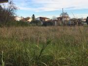Terreno agricolo in vendita a Cascina