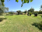 Terreno agricolo in vendita a Cascina